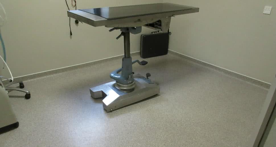 Easy to clean veterinary floor