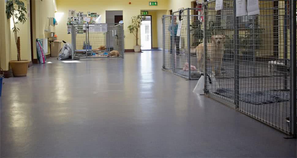 Kennel pmma resin flooring