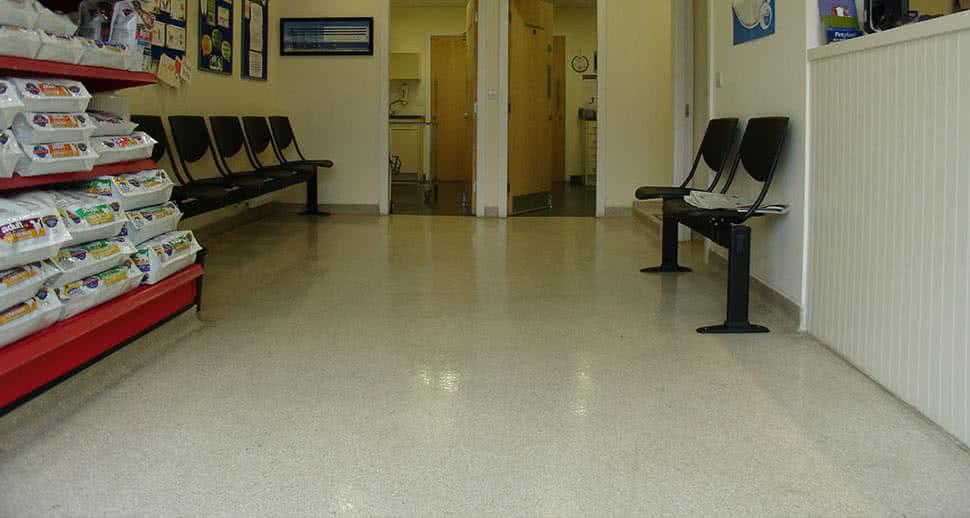 Vet waiting room resin floor