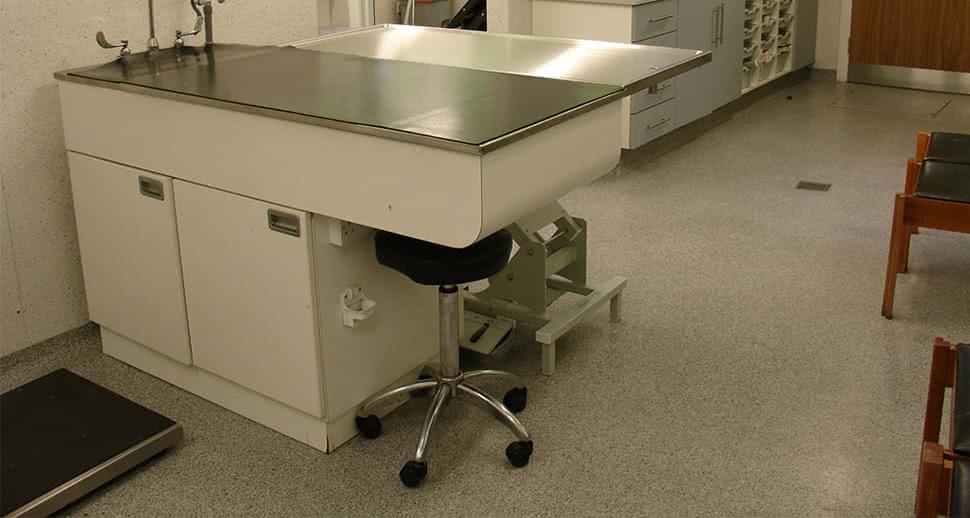 Veterinary clinic hygienic flooring